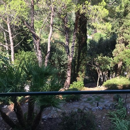 شقة Casa Di Charme, Rio dellʼElba المظهر الخارجي الصورة